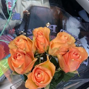 Meet your Posher, Ning